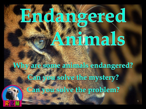 Endangered Animals - PowerPoint & Activities