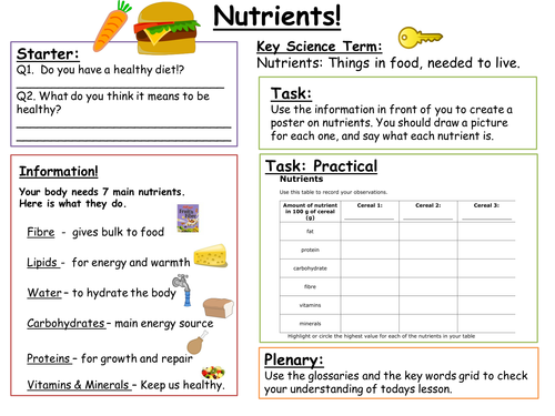 SEN Key Stage 3: Nutrients
