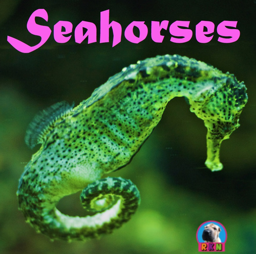 Seahorses - Powerpoint & Activities