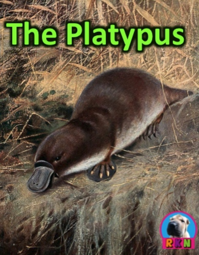 Platypus - Powerpoint & Activities