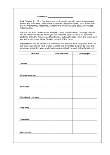 animal organelles cell worksheet LEVEL BTEC 15.1 and 3 Akaryotes, prokaryotes UNIT