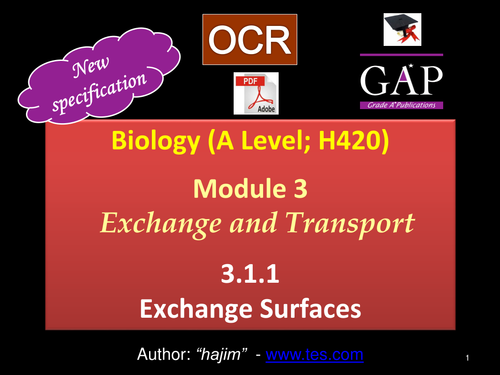 OCR (A Level; H420) - 3.1.1 Exchange Surfaces - 1st Assessment 2017 - pdf