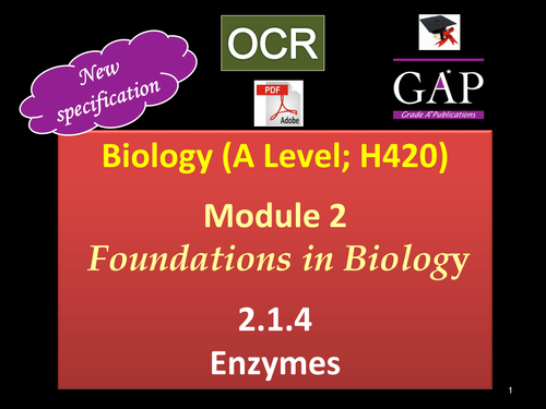 OCR (A Level; H420) - 2.1.4 Enzymes - 1st Assessment 2017 - pdf