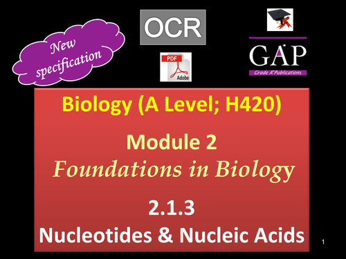 OCR (A Level; H420) - 2.1.3  Nucleotides and Nucleic Acids - 1st Assessment 2017 - pdf