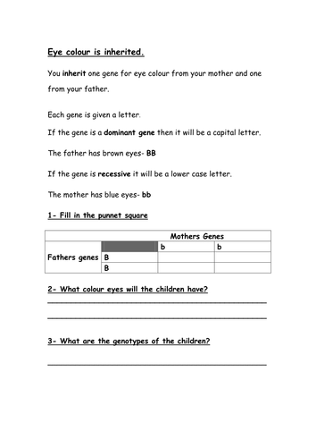 Inheritance: eye colour punnett square work sheet | Teaching Resources