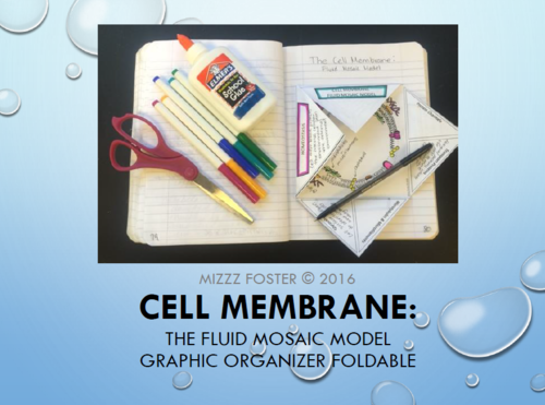 Cell Membrane Graphic Organizer Foldable Activity