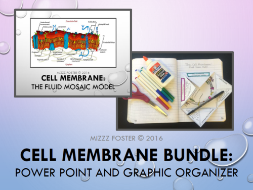 Cell Membrane Bundle: Power Point and Graphic Organizer Foldable