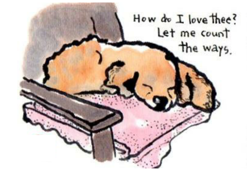 Edexcel  Literature Poetry (Relationships) - 'Sonnet 43' by Elizabeth Barrett-Browning