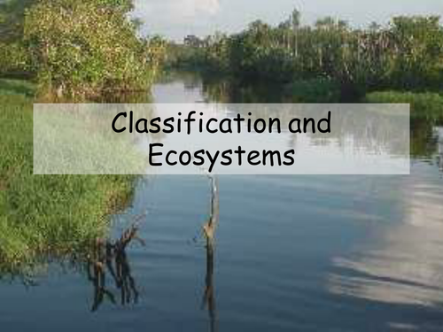 Classification and adaptations within ecosystems 