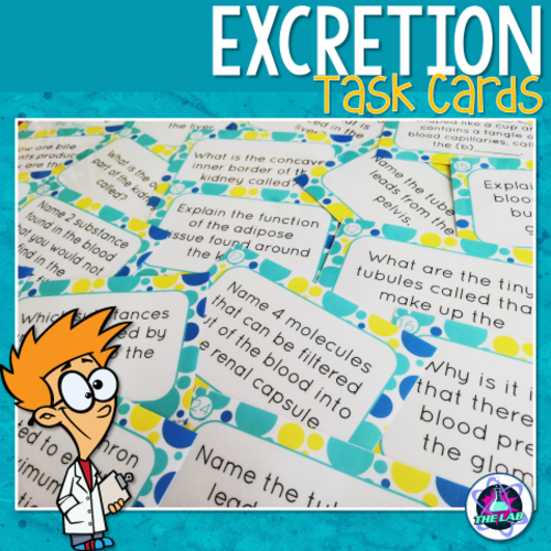 Excretion Task Cards