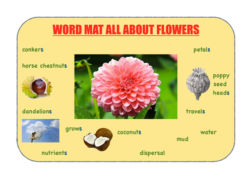 Seed dispersal - word mat