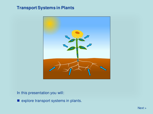 Plant Biology - Transport Systems in Plants