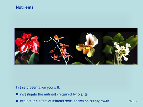 Plant Biology - Nutrients