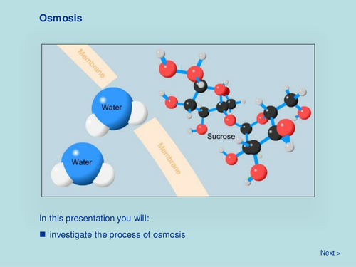 Plant Biology - Osmosis
