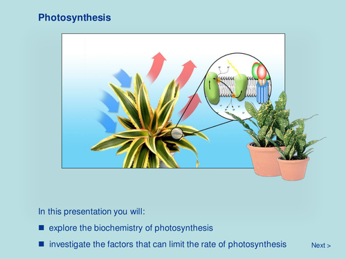 Plant Biology - Photosynthesis