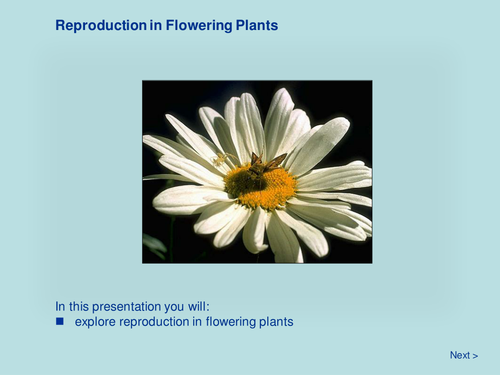 Plant Biology - Reproduction in Flowering Plants