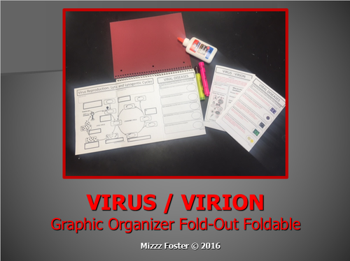 Virus Graphic Organizer Foldable