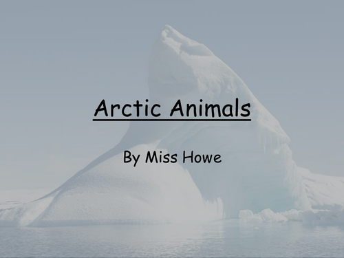 Arctic Animals