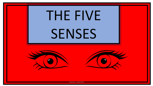 Science - EYFS / KS1-The Five Senses