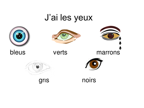 Physical description