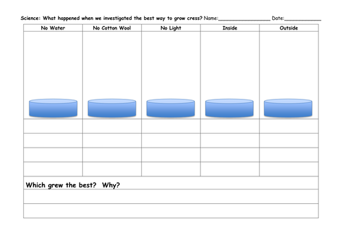 Cress growing science investigation results sheet (differentiated)