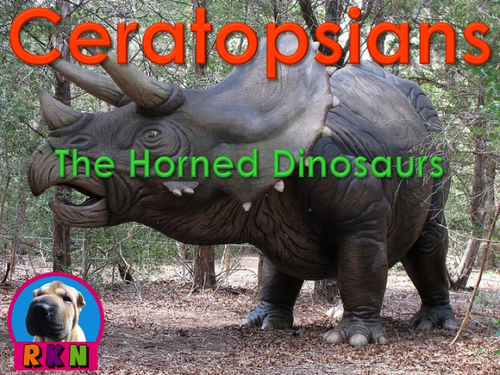 Dinosaurs: Ceratopsians - "The Horned and Beaked Dinosaurs" - PowerPoint