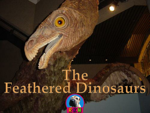 Feathered Dinosaurs PowerPoint
