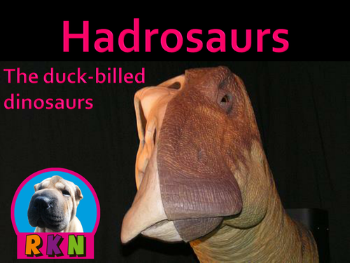 Dinosaurs: Hadrosaurs - "The Duck-billed Dinosaurs" - PowerPoint