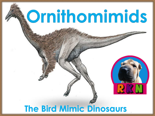 Dinosaurs: Ornithomimids - "The Bird Mimics" - PowerPoint