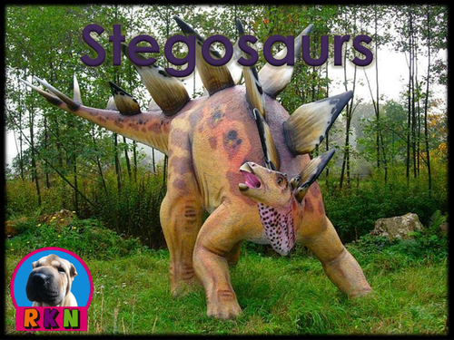 Dinosaurs: Stegosaurs - "The Plated Dinosaurs" - PowerPoint