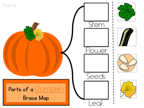Pumpkin Parts Brace Map