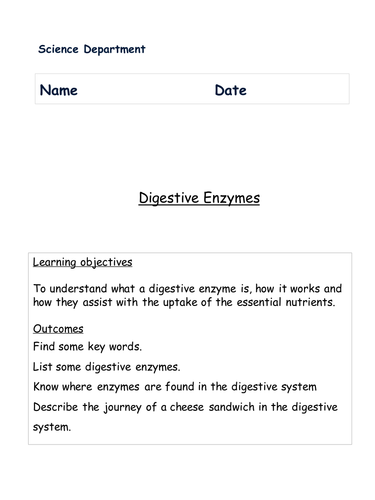 DIGESTIVE SYSTEM, DIGESTIVE ENZYMES