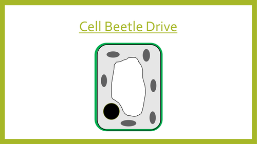 Cell Beetle Drive