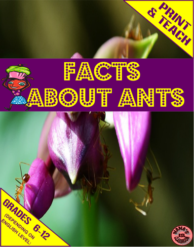 ♥ESL♥ FACTS ABOUT ANTS » Mini Units for ESL Students