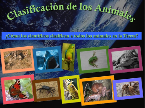 Clasificación de los Animales - PowerPoint