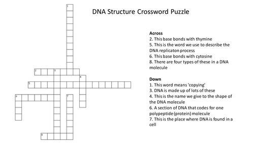 DNA Structure Crossword Puzzle (With Answers)