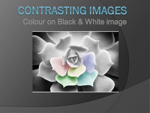 Art/Photoshop: Contrasting Images (Black and white to colour). 