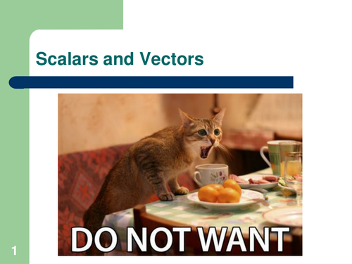 Vectors and Scalars