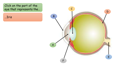 Science plenary - They eye