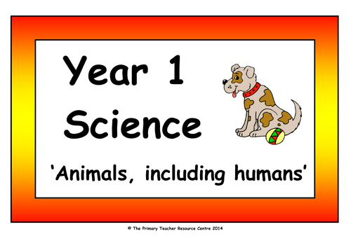 Year 1 Science Vocabulary Cards