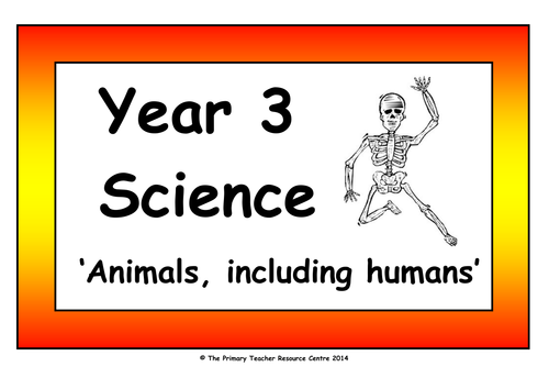 Year 3 Science Vocabulary Cards