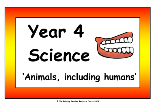 Year 4 Science Vocabulary Cards