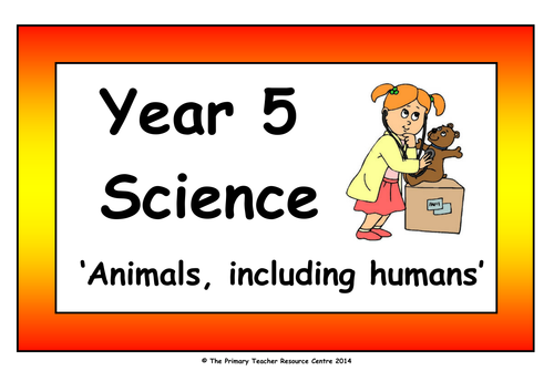 Year 5 Science Vocabulary Cards