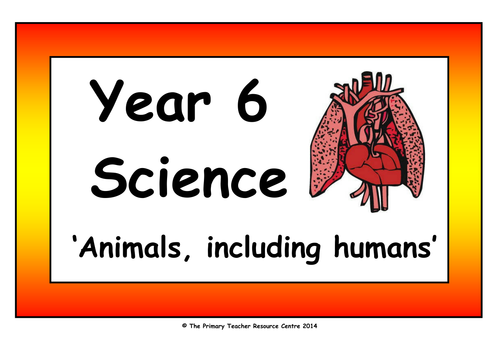 Year 6 Science Vocabulary Cards