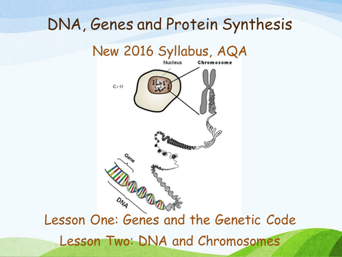 New AQA (2016) Year 1 Biology (AS) - Genes, Genetic Code, DNA and Chromosomes - Flipped Learning