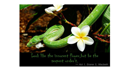 Lady Macbeth Flower Serpent Quote - Visual Aid