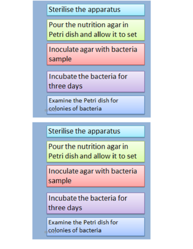 KS3/Microbes