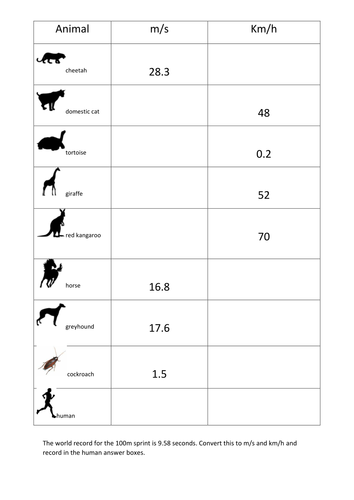 worksheets elementary animal by  Speed conversions km/h Converting to norabrady m/s