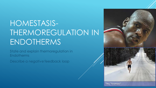 Homeostasis- Thermoregulation in endotherms