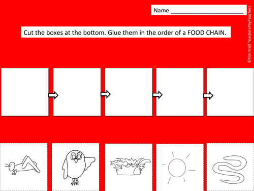 Food Chain Cut, Color and Paste Activity